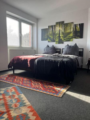 Gemütliches City-Appartment
